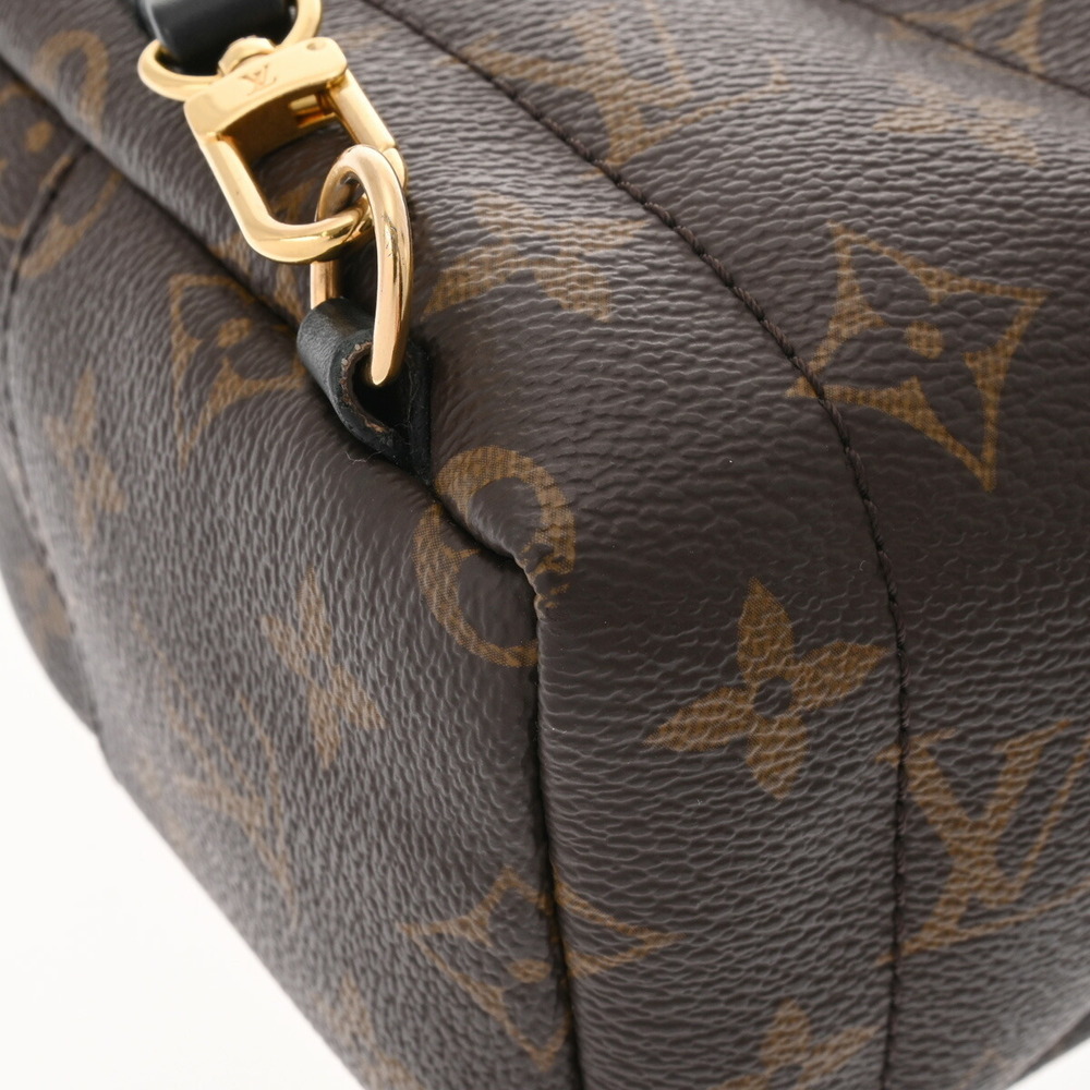 Louis Vuitton Canvas Daypack Monogram Springs Brown Palm Backpack - Picture 7 of 11